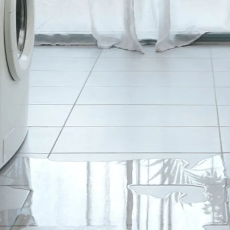 Appliance Leak Cleanup in Northlake, TX