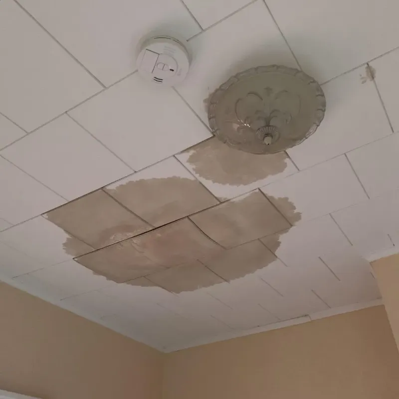 Ceiling Water Damage Repair in Northlake, TX