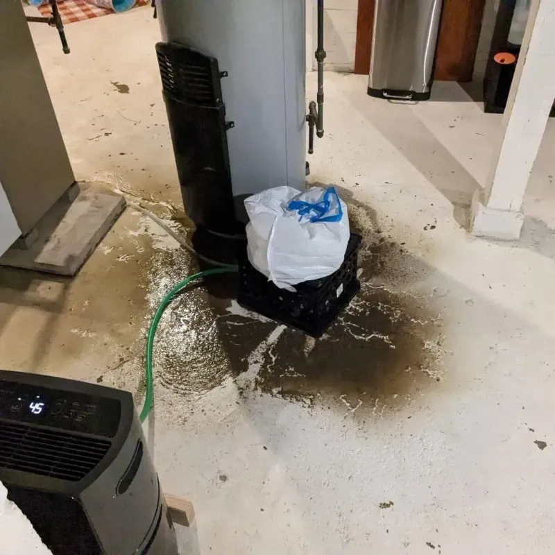 Sewage Backup Cleanup Service in Northlake, TX